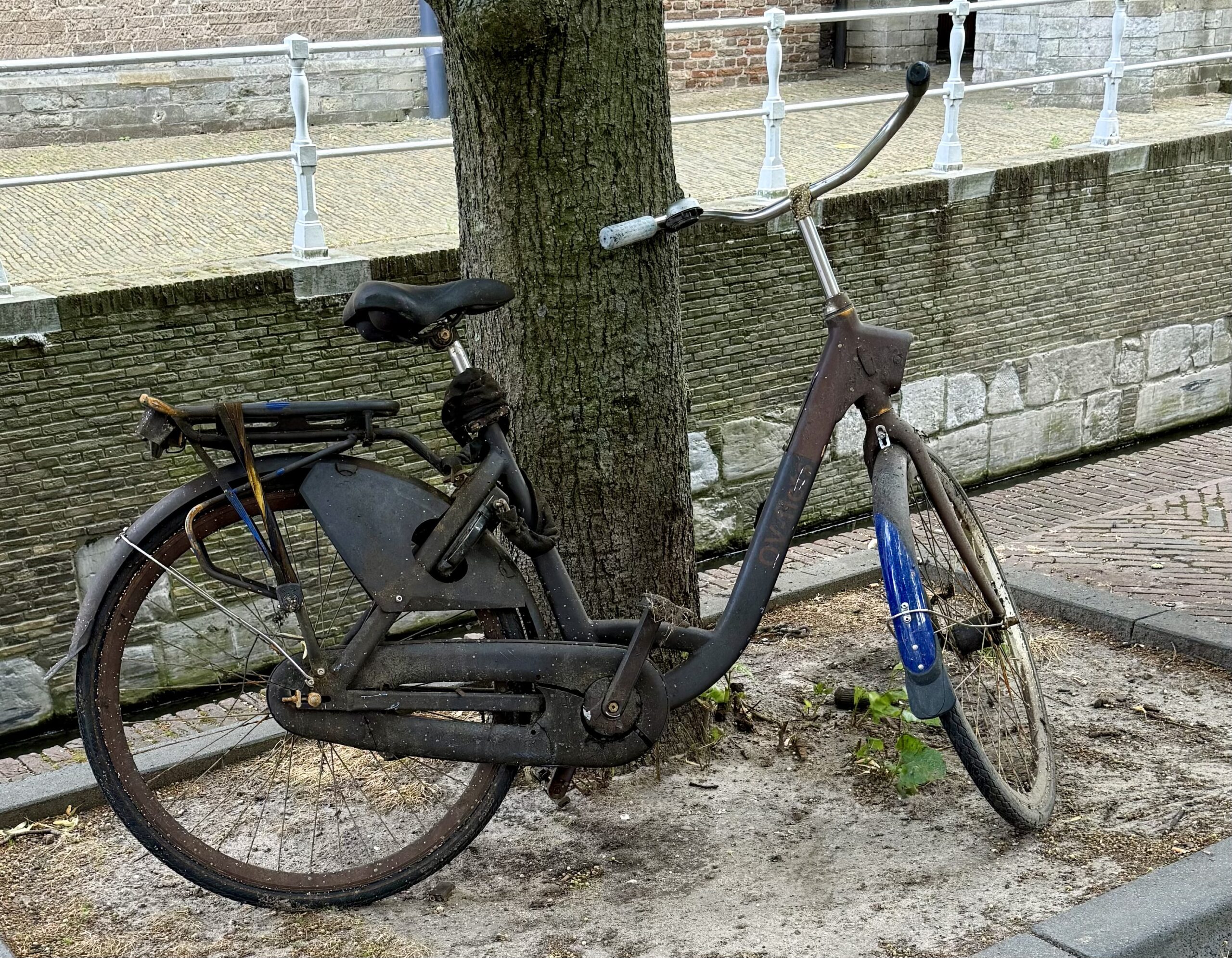 De Voorschotense Paardendagen - Delft
